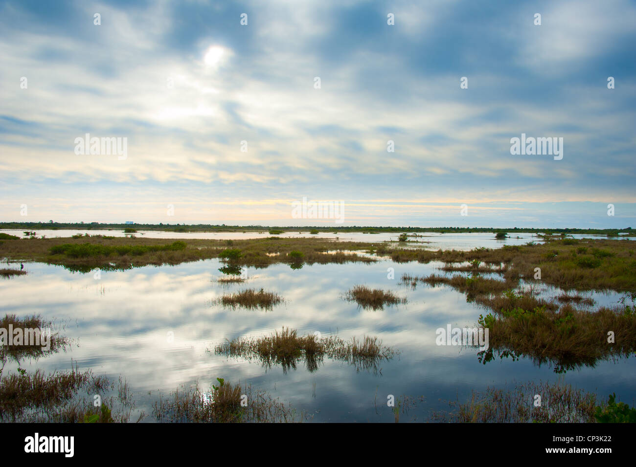 Cielo velato illumina le zone umide Foto Stock