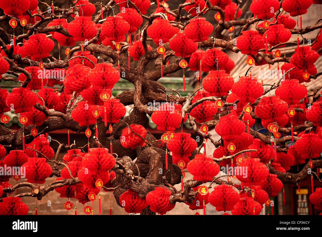 Lucky lanterne rosse nuovo anno lunare cinese decorazioni Parco Ditan, Pechino, Cina Foto Stock