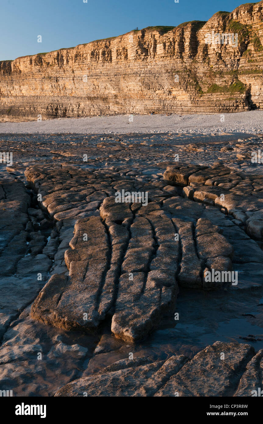 Le scogliere calcaree del Glamorgan Heritage Coast nel Galles del Sud al punto di Nash, Foto Stock