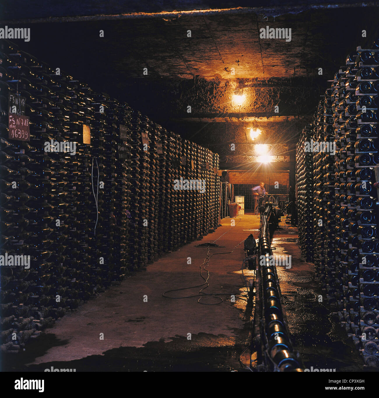 Spagna - Catalogna - la maturazione del vino in cantina. Foto Stock