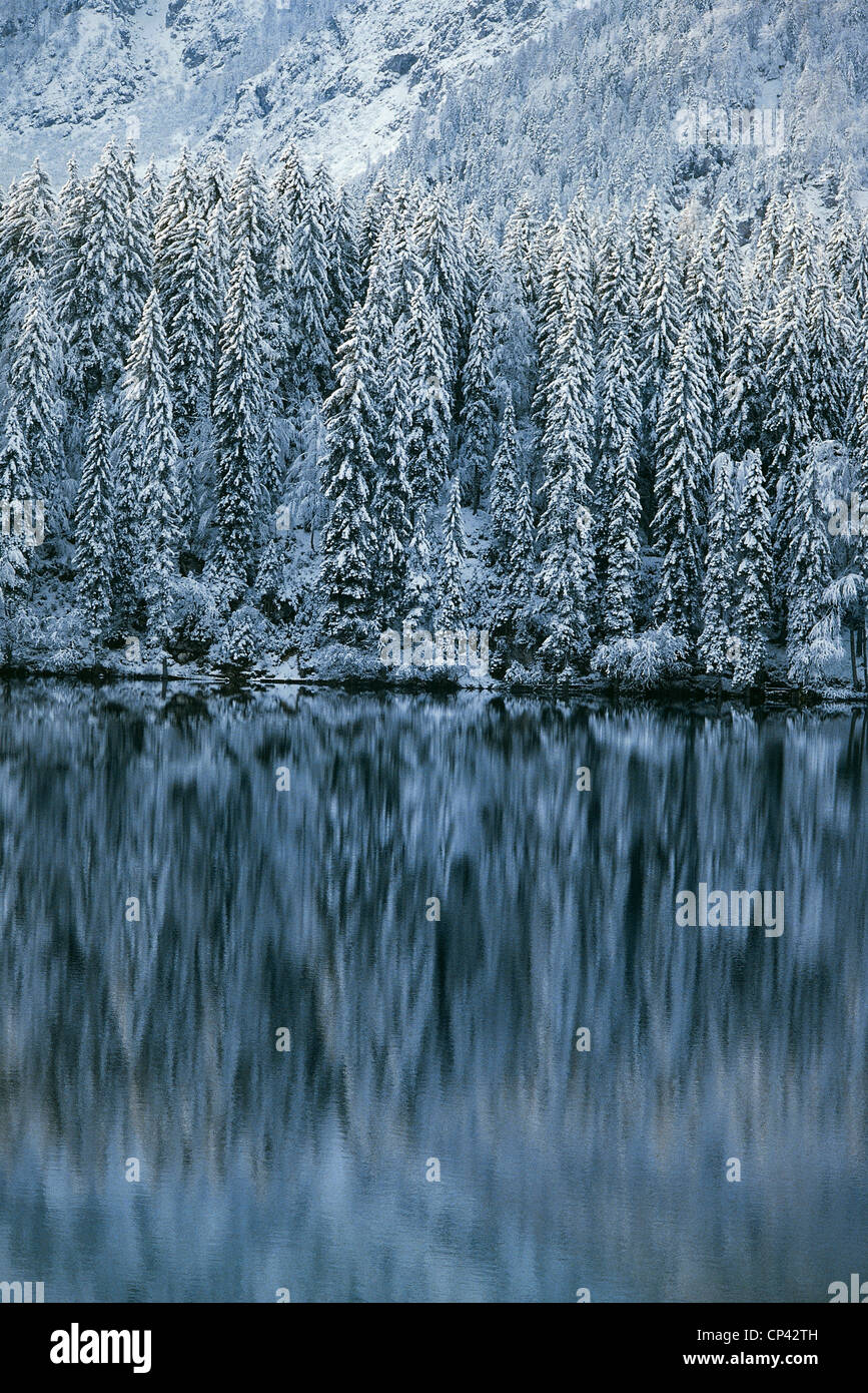 Friuli Venezia Giulia - Foresta di Tarvisio - PARCO NATURALE DI FUSINE, Lago Inferiore. Scene di neve Foto Stock