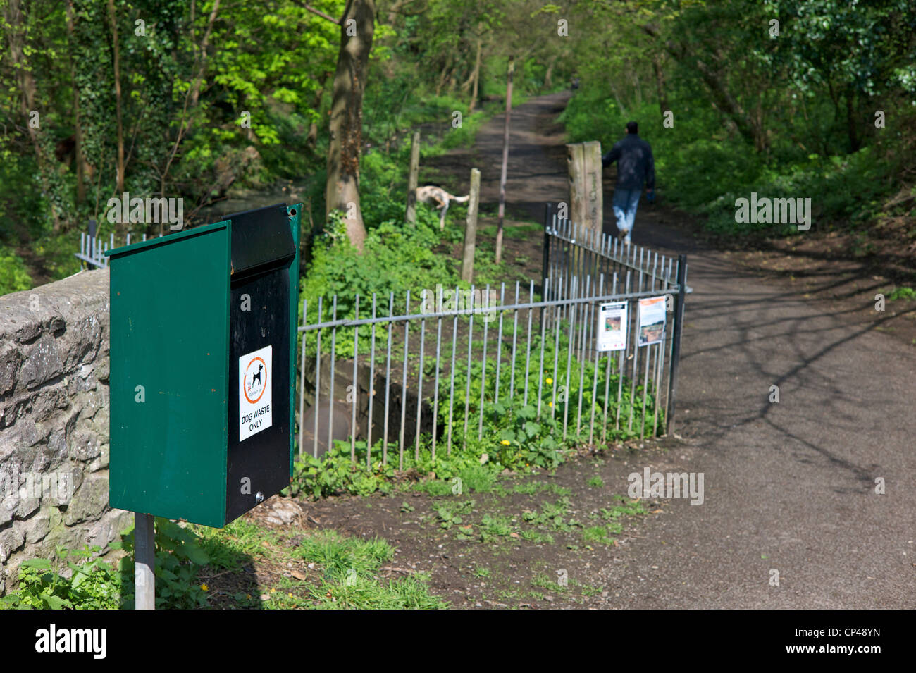 Cane bidone dei rifiuti in posizione di parcheggio Foto Stock
