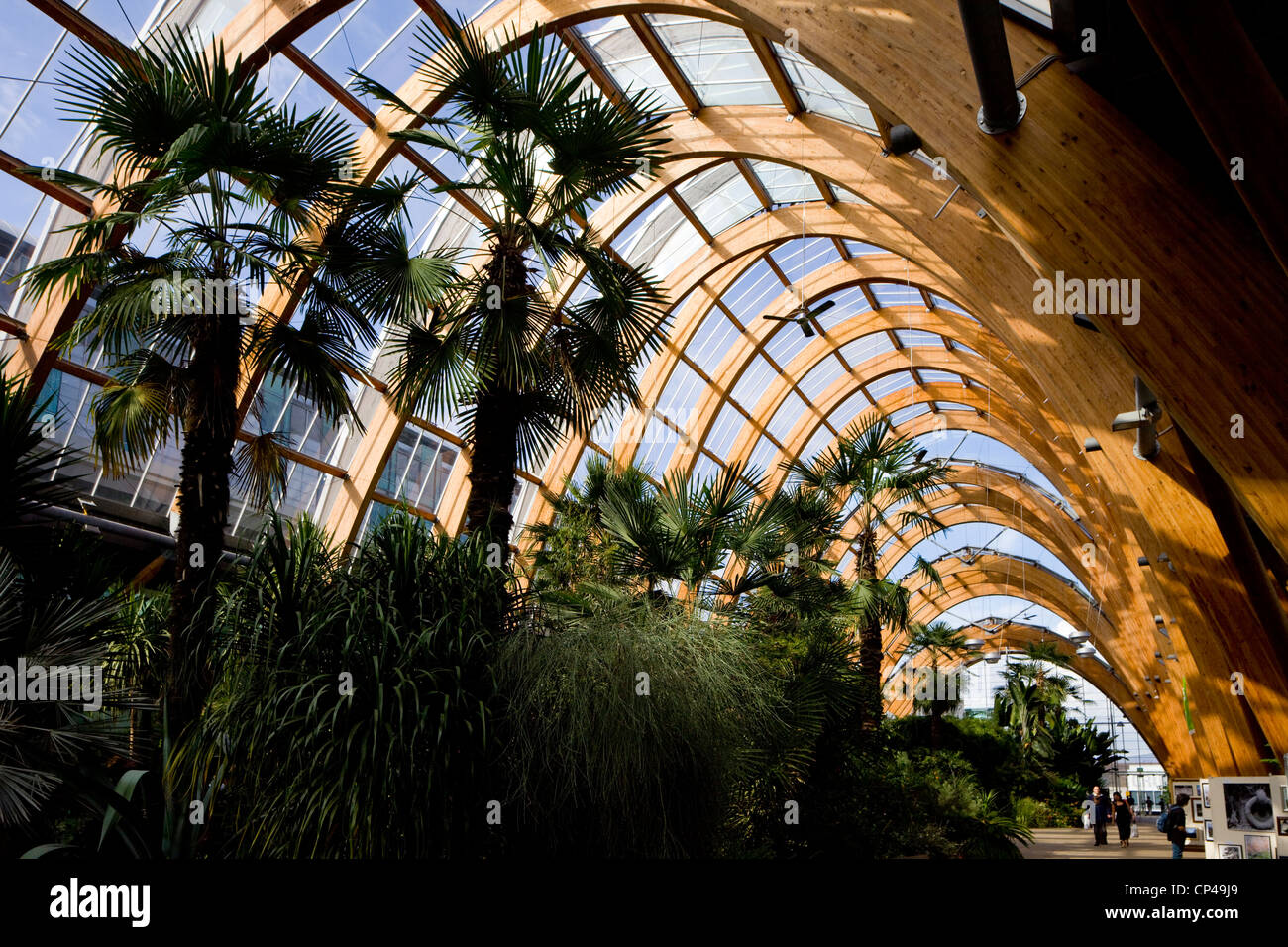 Winter Gardens St Paul s Square Sheffield City Centre South Yorkshire Regno Unito progettato da Pringle Richards Sharratt Foto Stock