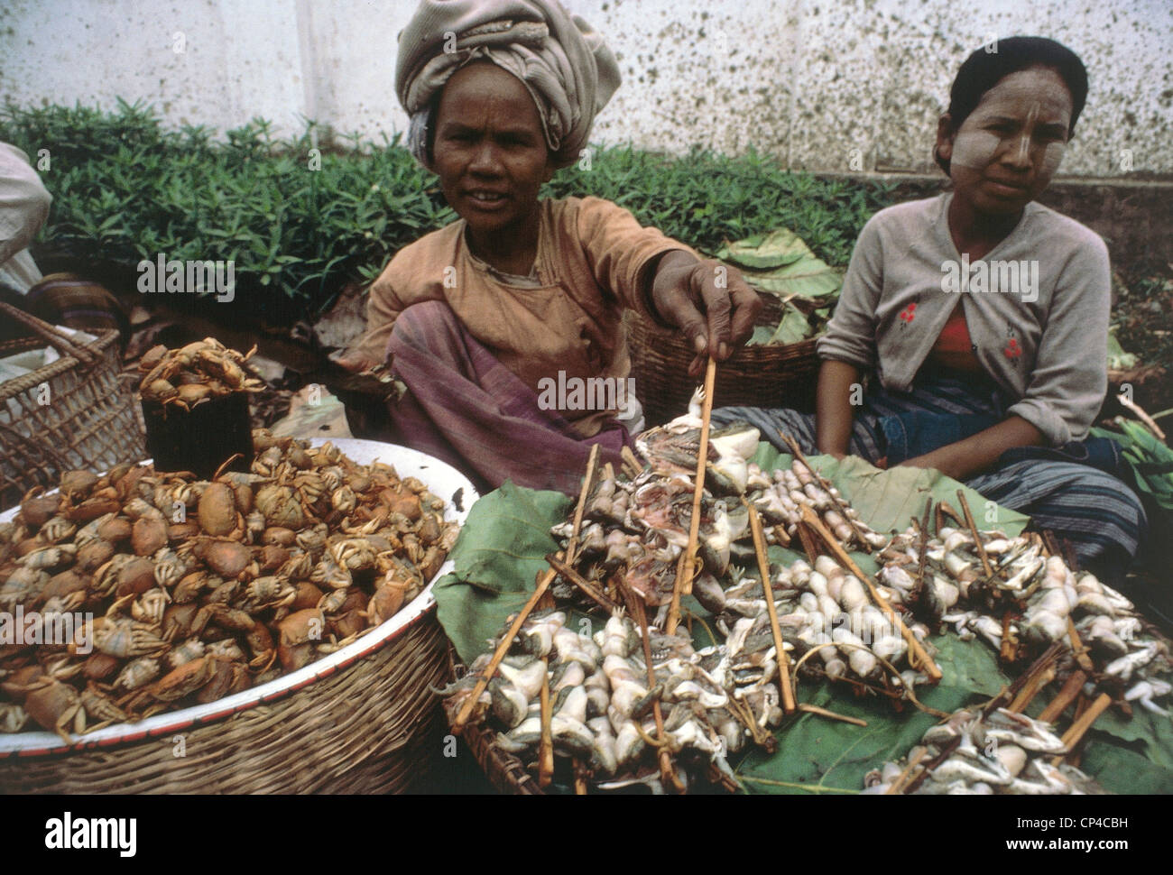 Myanmar (Birmania) - Heho, mercato. Le donne la vendita di crostacei dal Lago Inle. Foto Stock