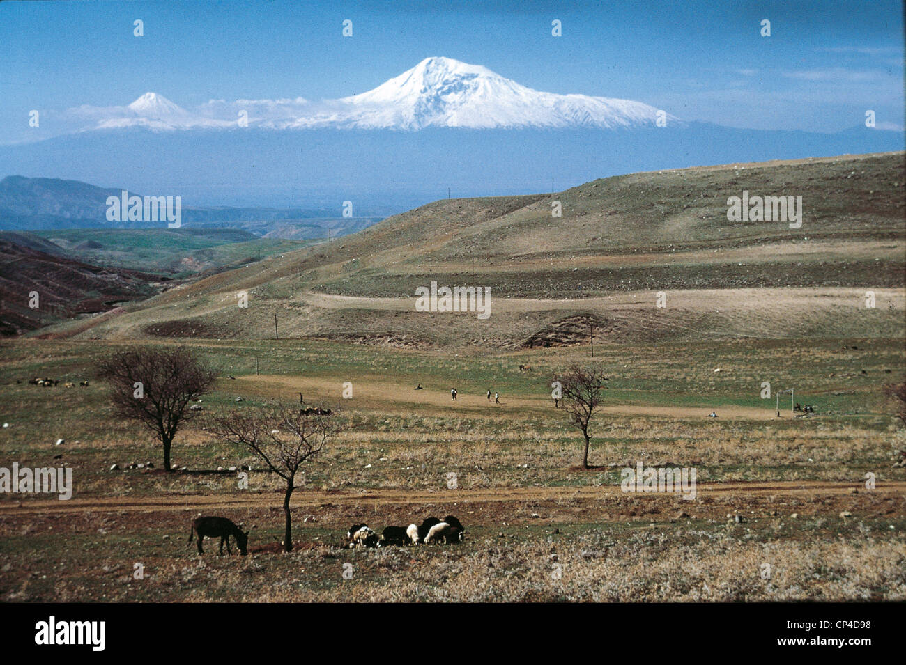 Armenia - la steppa e lo sfondo del monte Ararat Foto Stock