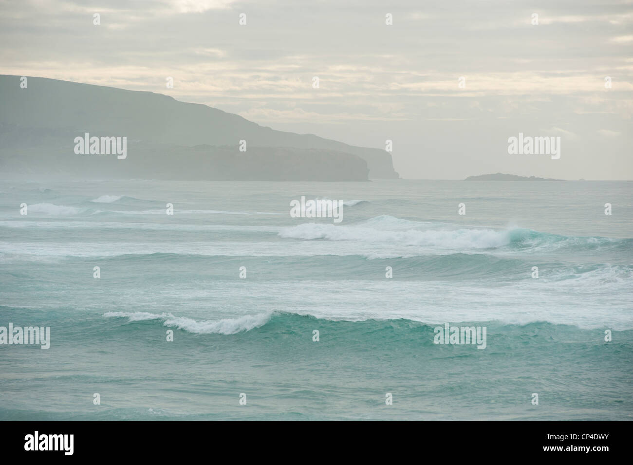 Porto di Otago, St. Clair, Isola del Sud, Nuova Zelanda Foto Stock