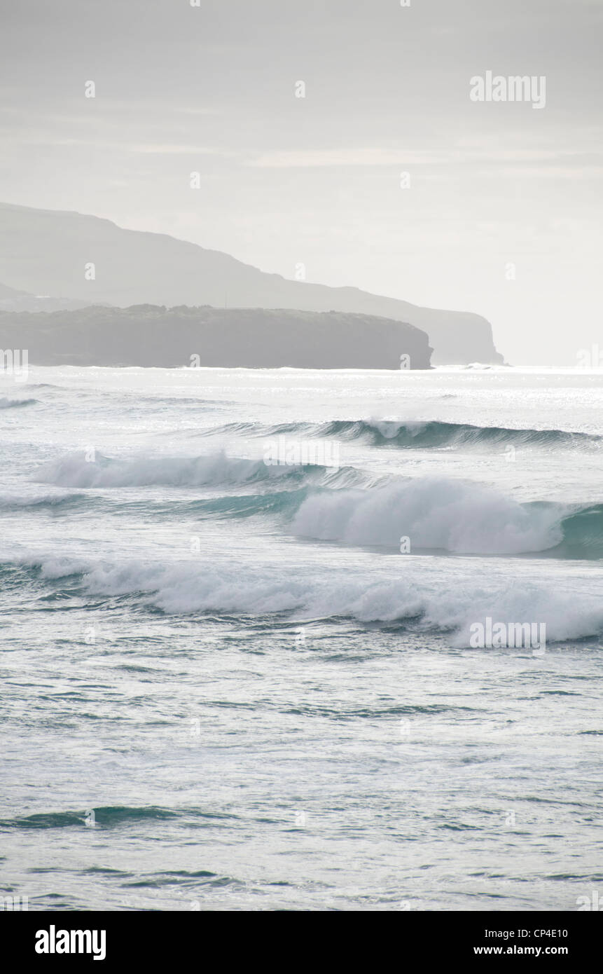 Porto di Otago, St. Clair, Isola del Sud, Nuova Zelanda Foto Stock