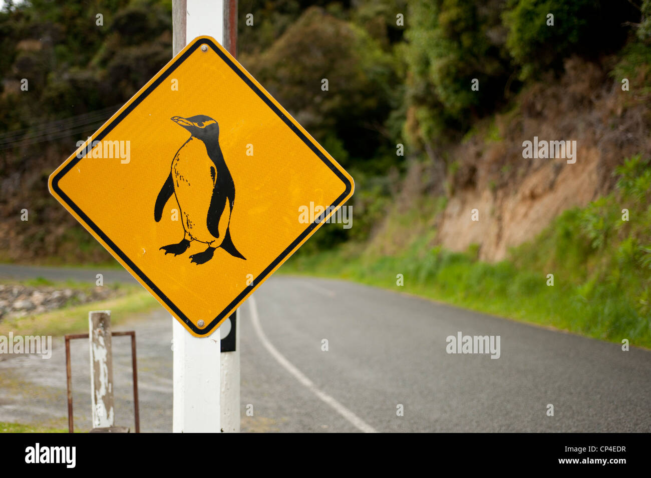 Attraversamento dei pinguini segno, Isola Stewart, Nuova Zelanda Foto Stock