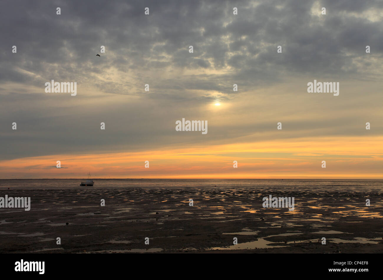 Guardando attraverso l'estuario di lavaggio al tramonto da Snettisham, Norfolk. Foto Stock