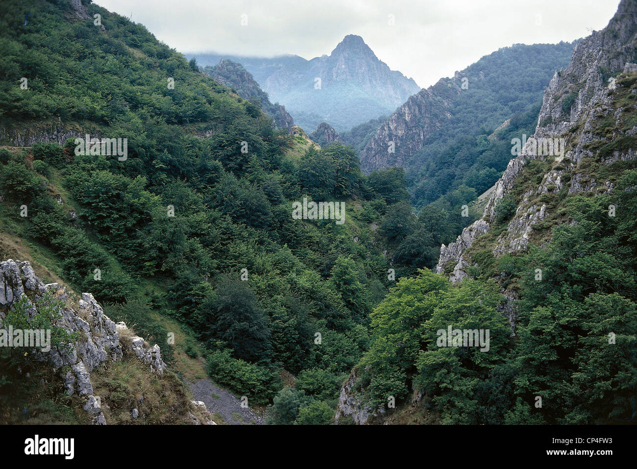 Spagna - Asturias - Gamma cantabrico - Gole lungo la valle del Rio Nalon. Foto Stock