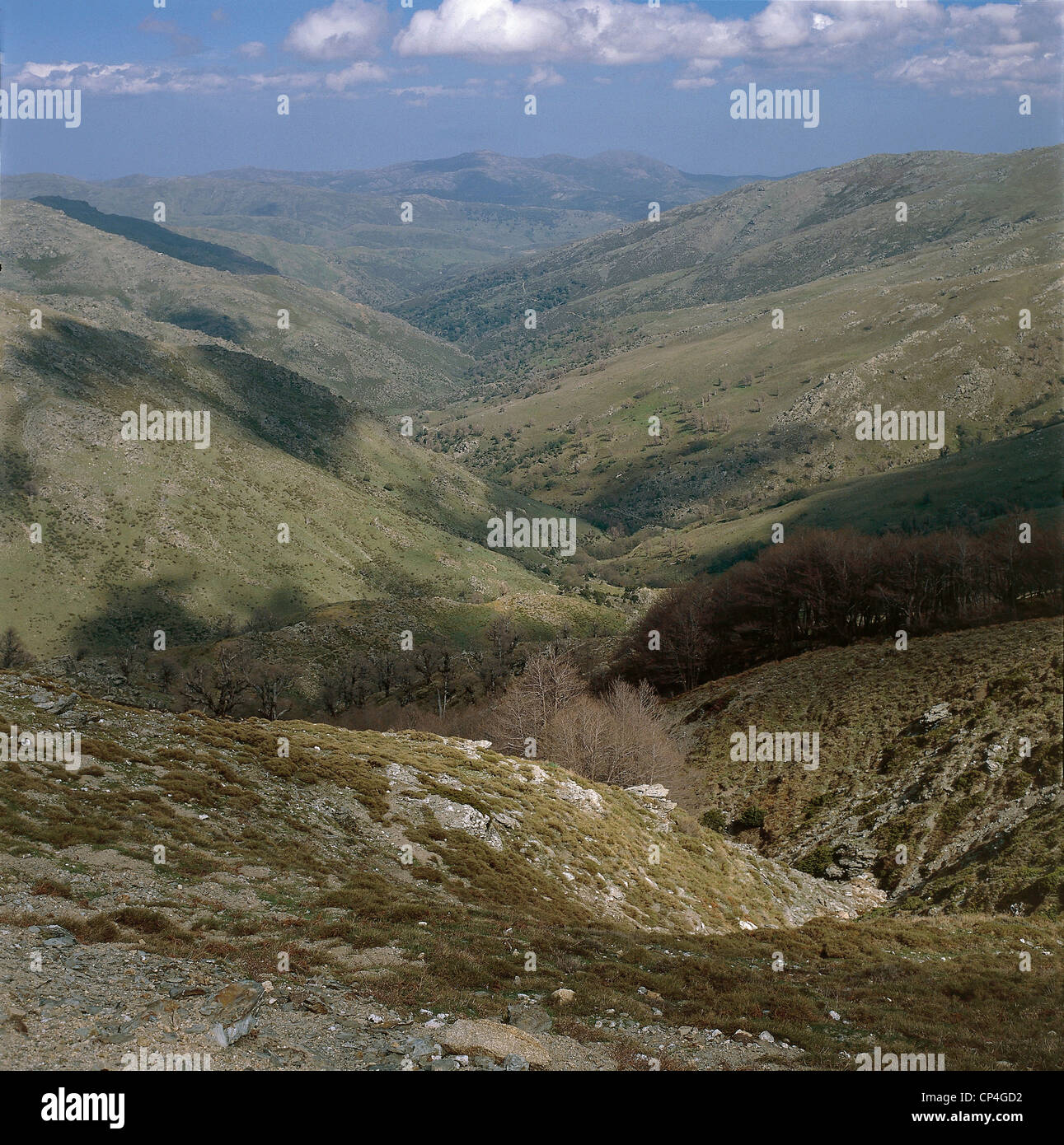 Sardegna - Golfo di Orosei e Parco nazionale di Gennargentu - intorno al Bruncu Spina, guardando ad est sul Monte Olin. Foto Stock