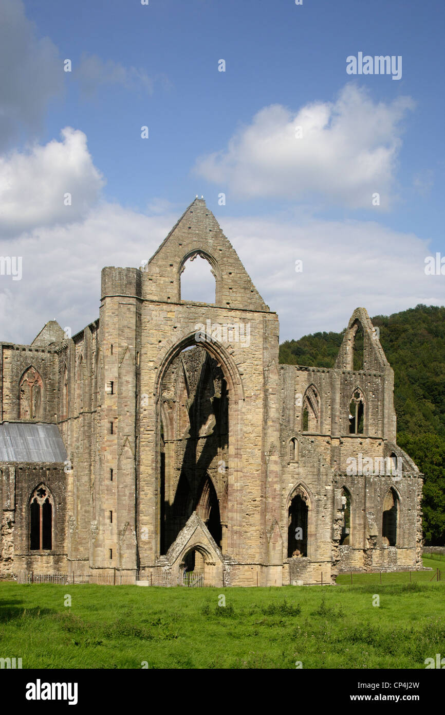 Regno Unito - Inghilterra - Galles - Monmounthshire. Rovine di Tintern Abbazia cistercense, fondata nel 1131 da Walter de Clare. Foto Stock