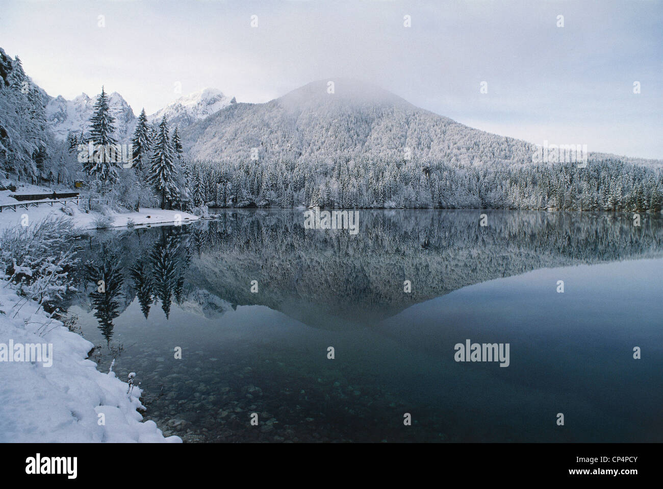 Friuli basso lago foresta Tarvisio Fusine Foto Stock