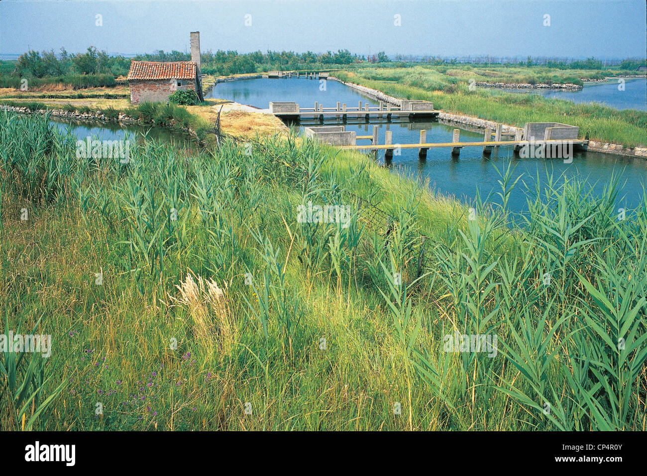 Emilia Romagna Delta del Po Po e fascio di Goro Gorino Foto Stock