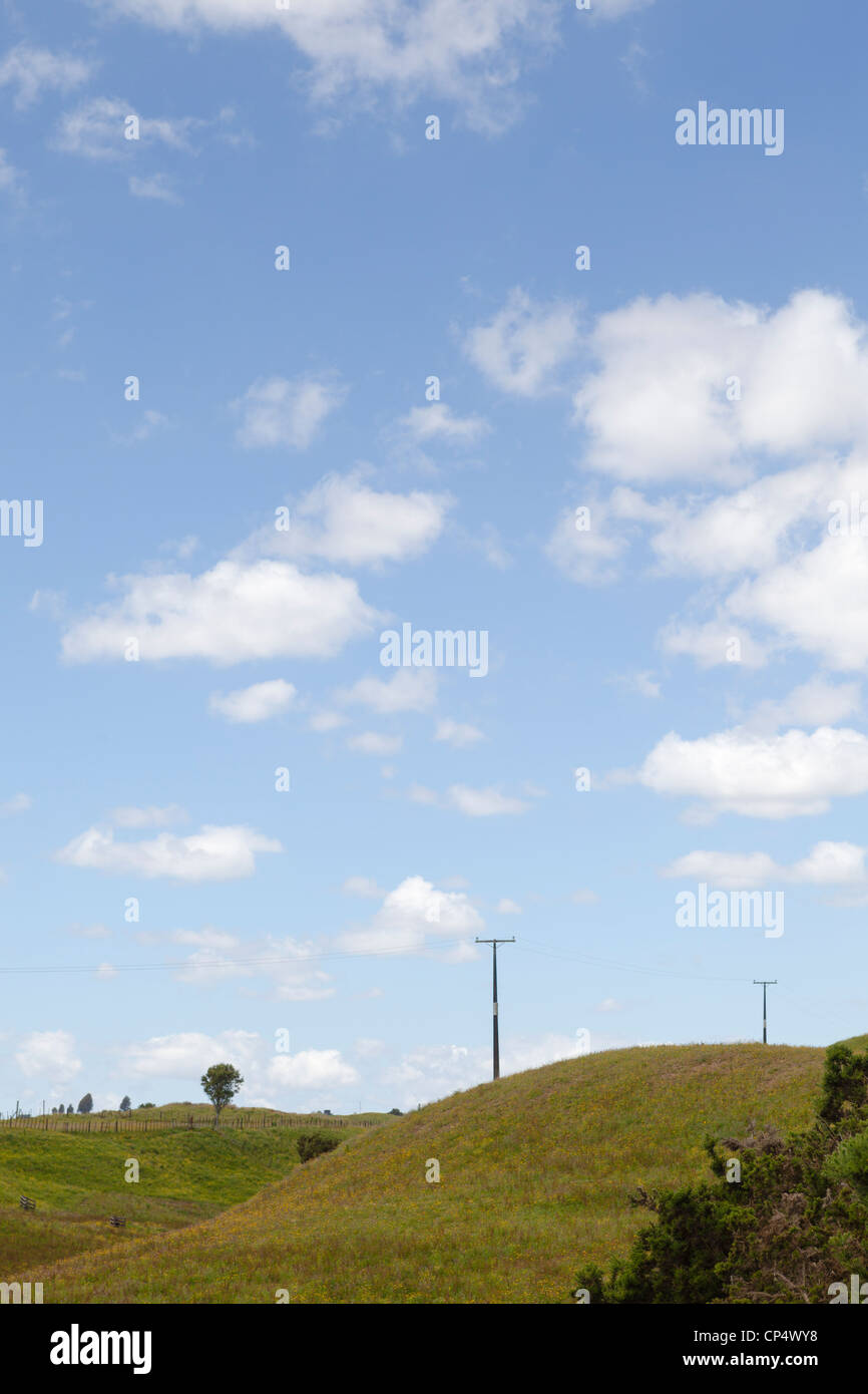 Una scena pastorale con cielo blu, soffici nuvole, e l'erba verde dei campi nel nord della Nuova Zelanda Foto Stock