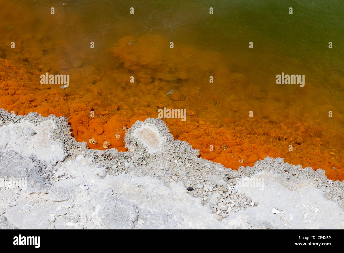 Champagne piscina geotermica primavera calda entro la zona di Waiotapu, Isola del nord, Nuova Zelanda Foto Stock