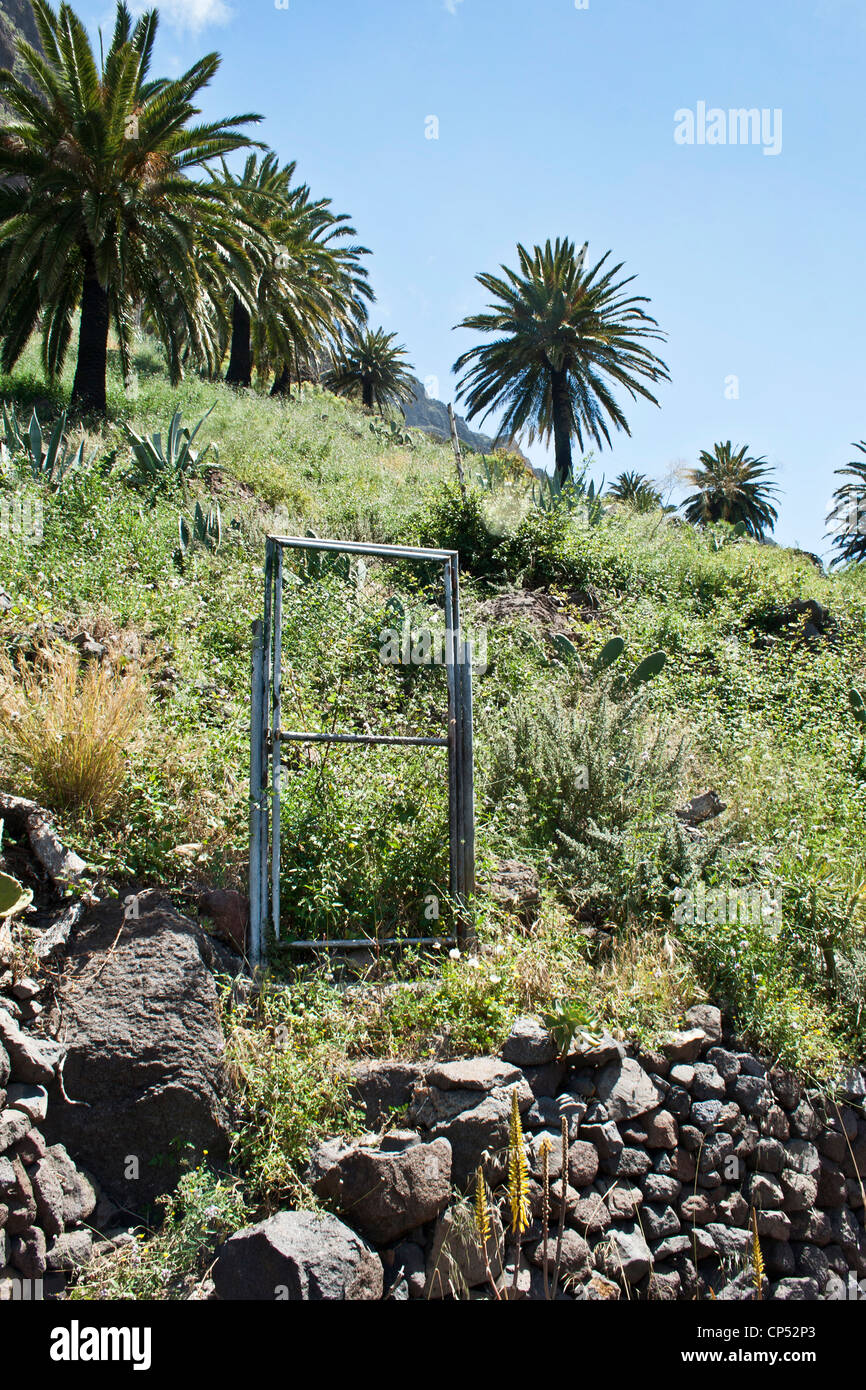 Un cancello per nulla sul pendio di una collina in Masca, Tenerife, Isole Canarie, Spagna. Foto Stock