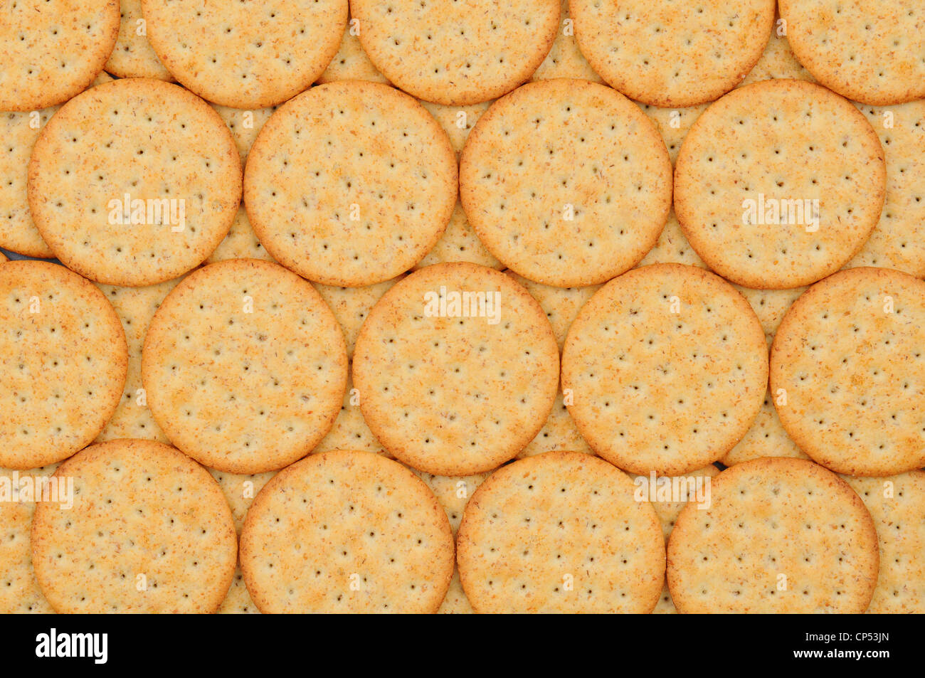 Primo piano di un gruppo di snack crackers allineate in una fila. Foto Stock