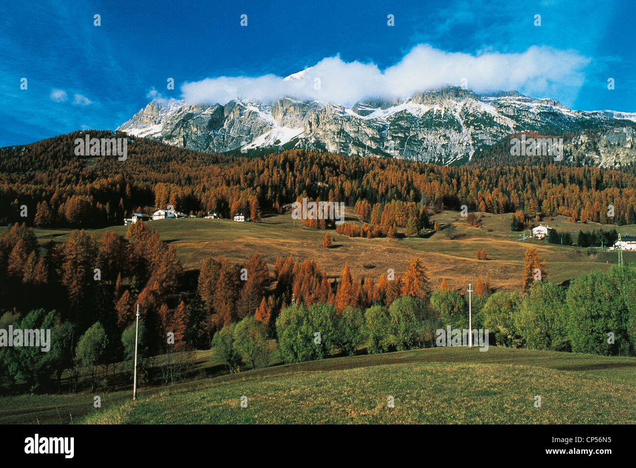 Trentino Alto Adige Parco Naturale delle Dolomiti di Sesto DI SEI VAL A Dobbiaco Foto Stock