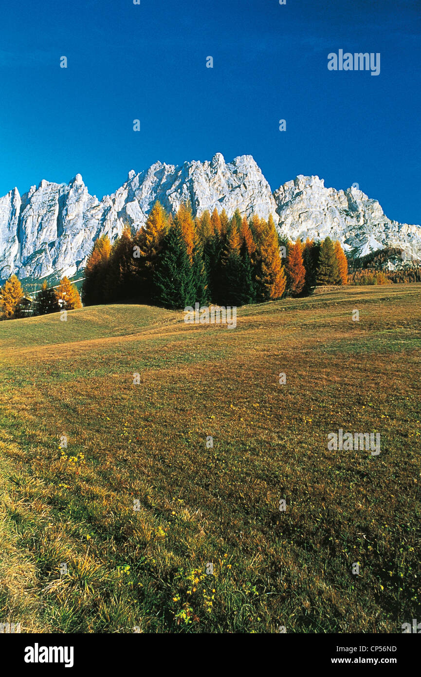 Trentino Alto Adige Parco Naturale delle Dolomiti di Sesto Foto Stock