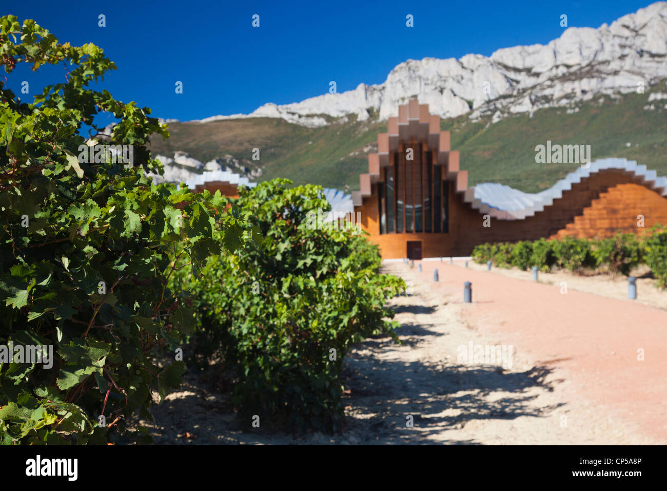 Spagna, regione dei Paesi Baschi, La Rioja zona provincia di Alava, Laguardia, Bodegas Ysios cantina Foto Stock