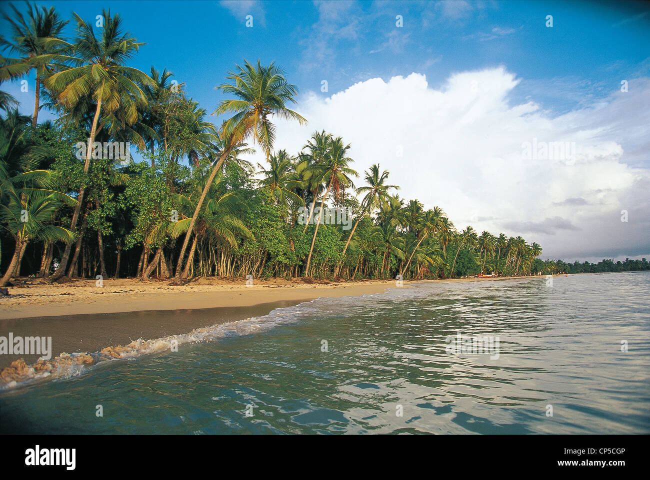 Martinica (dipartimenti d' oltremare della Francia) - Les Salines, Spiaggia Foto Stock