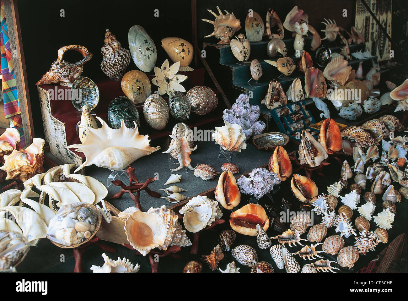 Martinica (dipartimenti d' oltremare della Francia) - I SERBATOI NATURALI E SEMI Foto Stock