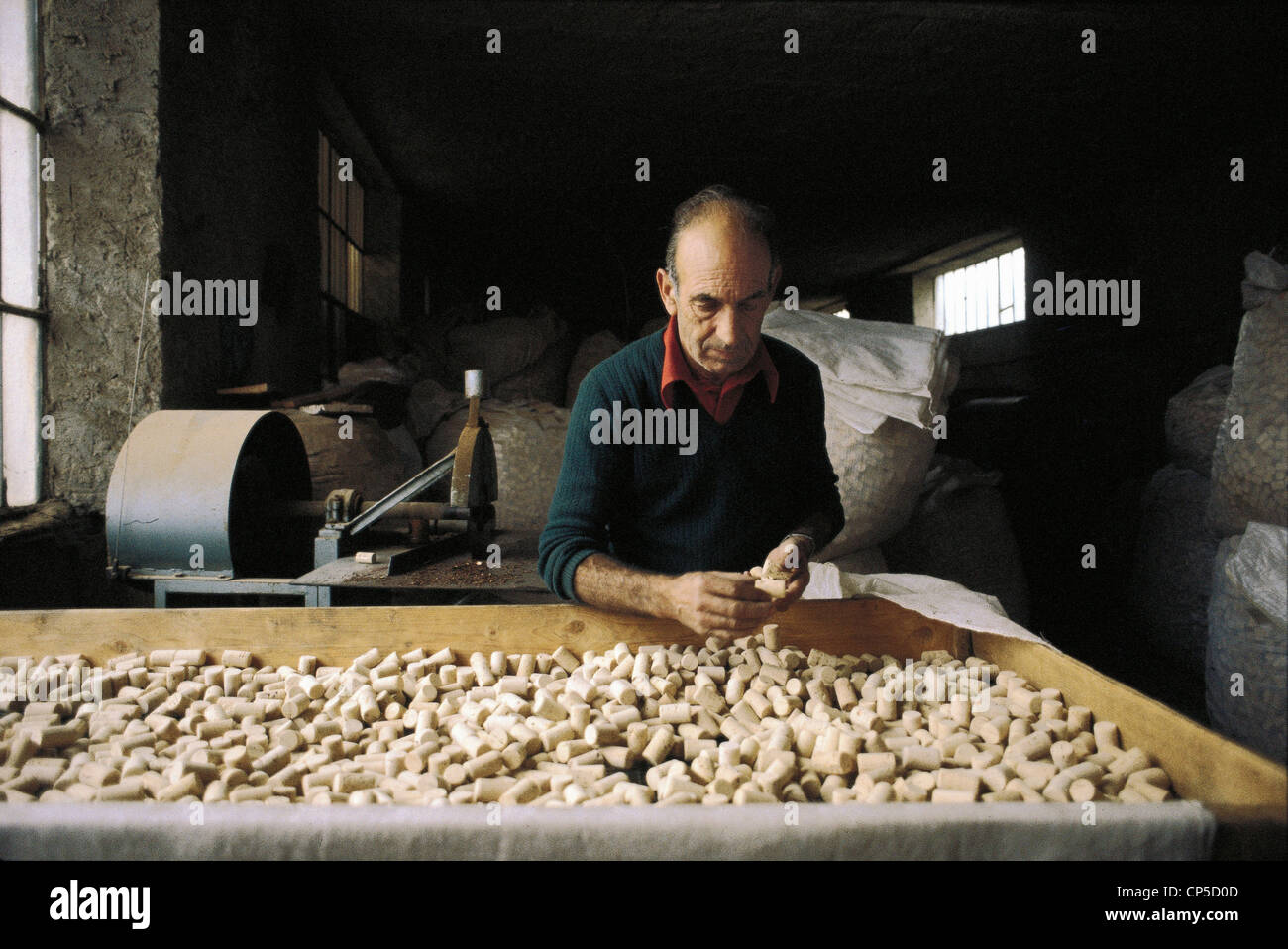 Sardegna Calangianus selezione dei tappi di sughero IN UNA FABBRICA Foto  stock - Alamy