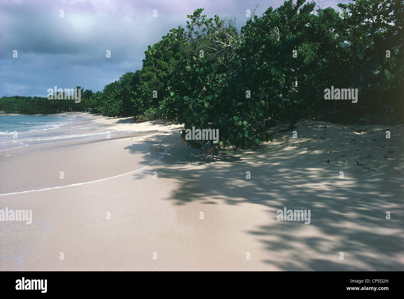 Guadalupa (dipartimento d'oltremare della Francia) - Isole di Les Saintes. Spiaggia. Foto Stock