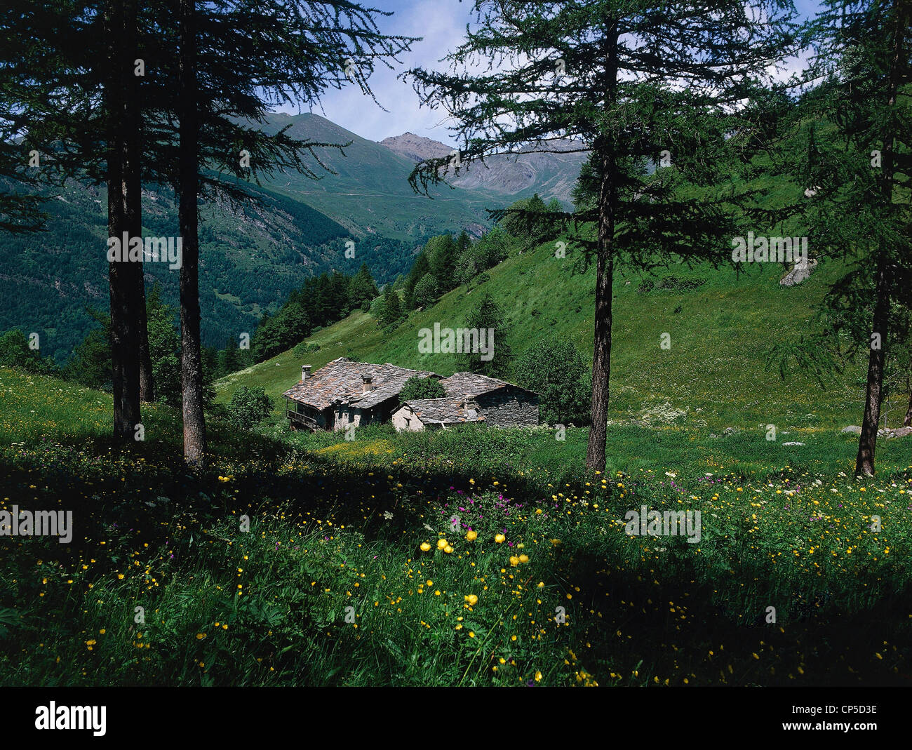 Piemonte - Hautes Alpes - Alta Val Varaita. Foto Stock