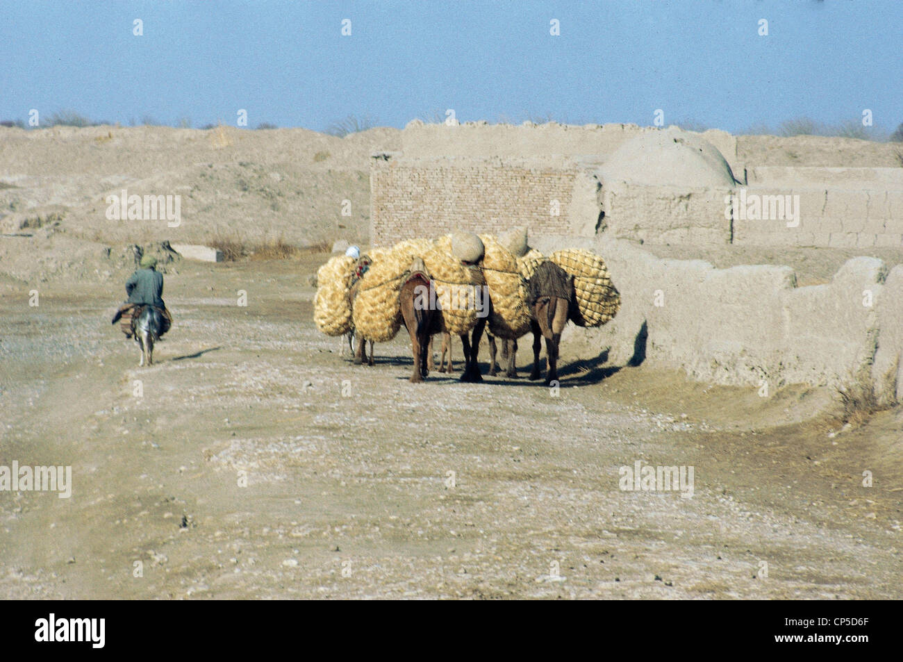 Afghanistan - Antica Battriana, vicino esitano e Sheberghan. Caravan. Foto Stock