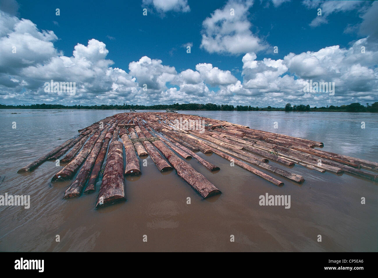 Indonesia - Borneo - a Est di Kalimantan, legname di rafting sul fiume Mahakam Foto Stock