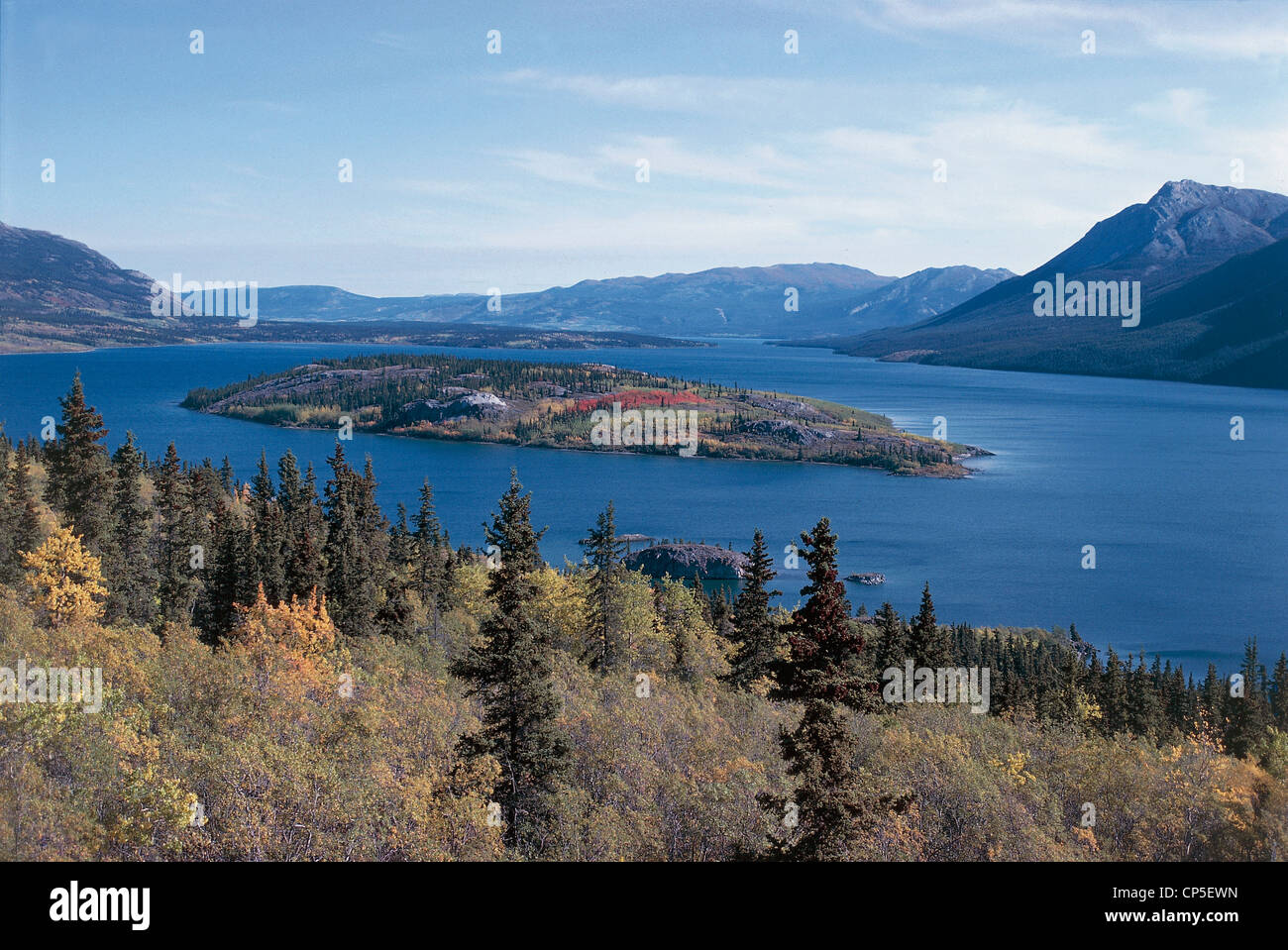 Stati Uniti d'America - Alaska - Klondike. Il lago di Tagish. Foto Stock