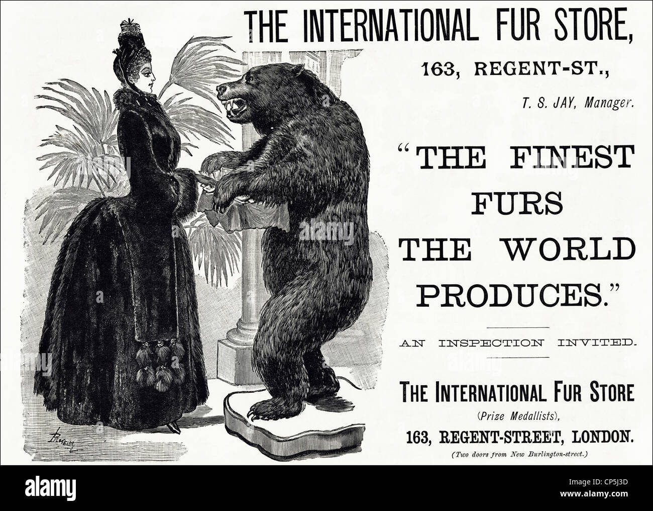 Vittoriana originale pubblicità pubblicità la pelliccia internazionale STORE. In data 13 giugno 1887. Foto Stock