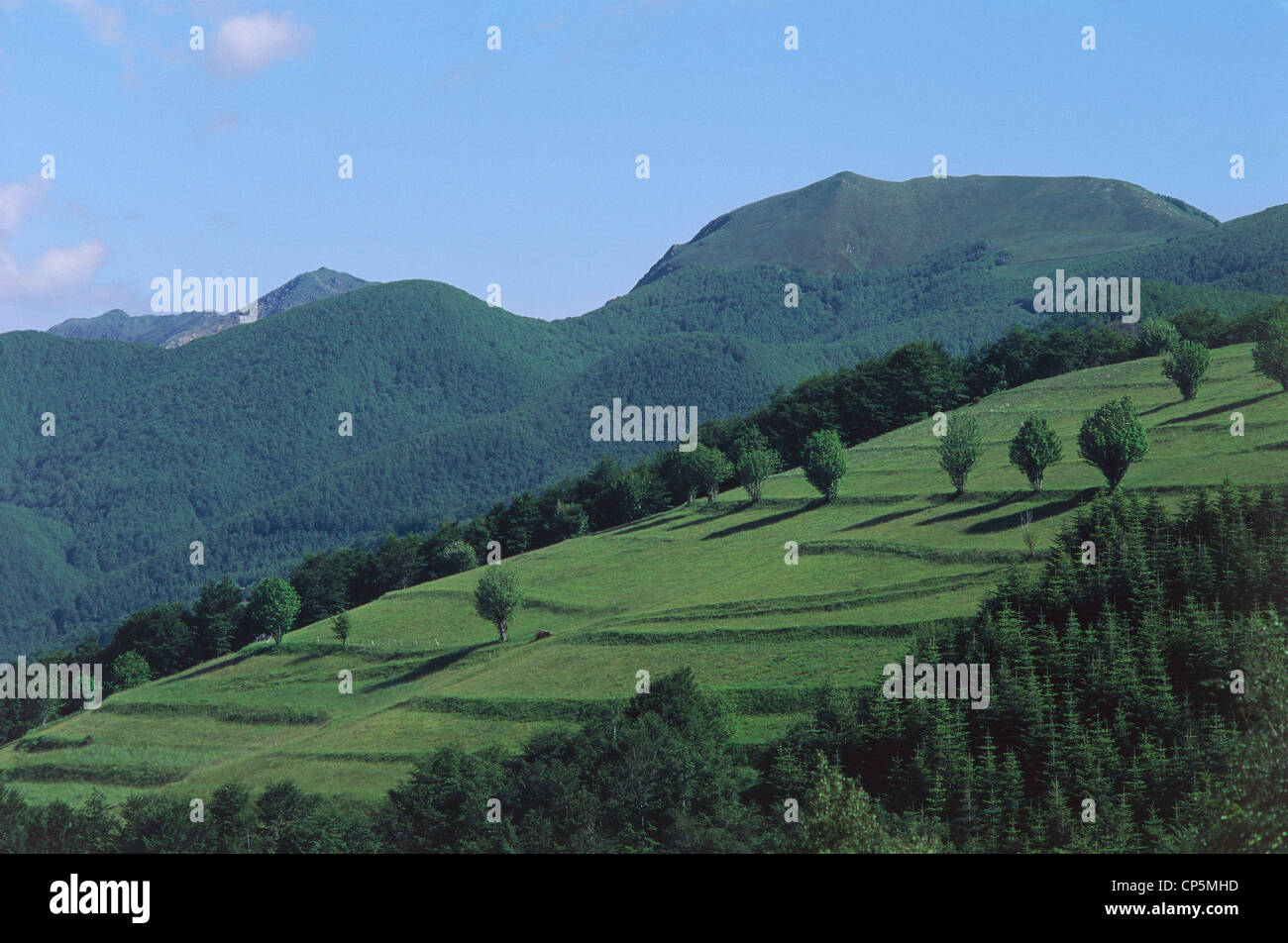 Toscana - Garfagnana - Maggiore San Pellegrino in Alpe (LU) Foto Stock
