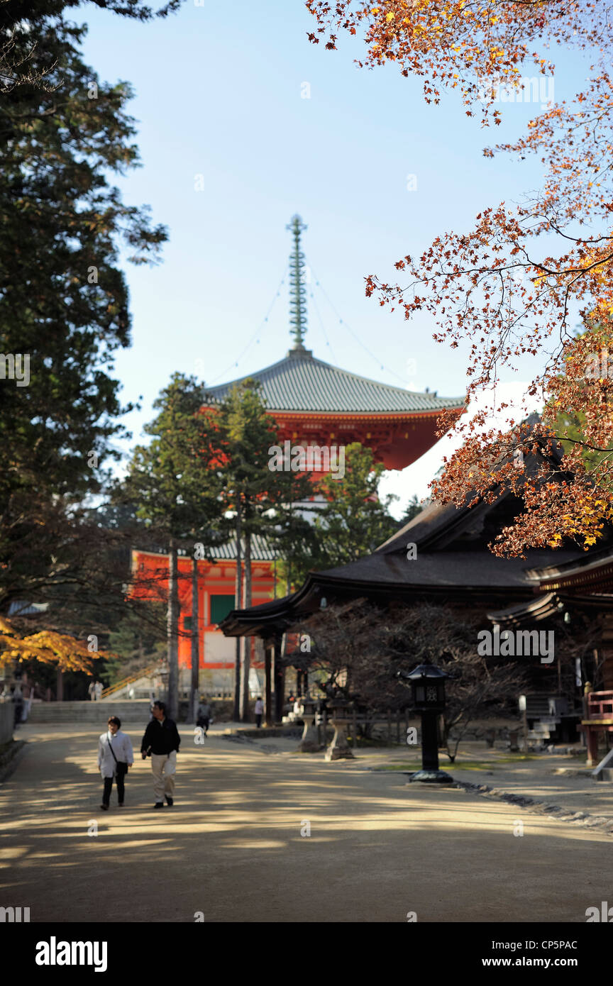 Foglie di autunno a Dai-a Pagoda, Koya-San, Giappone Foto Stock