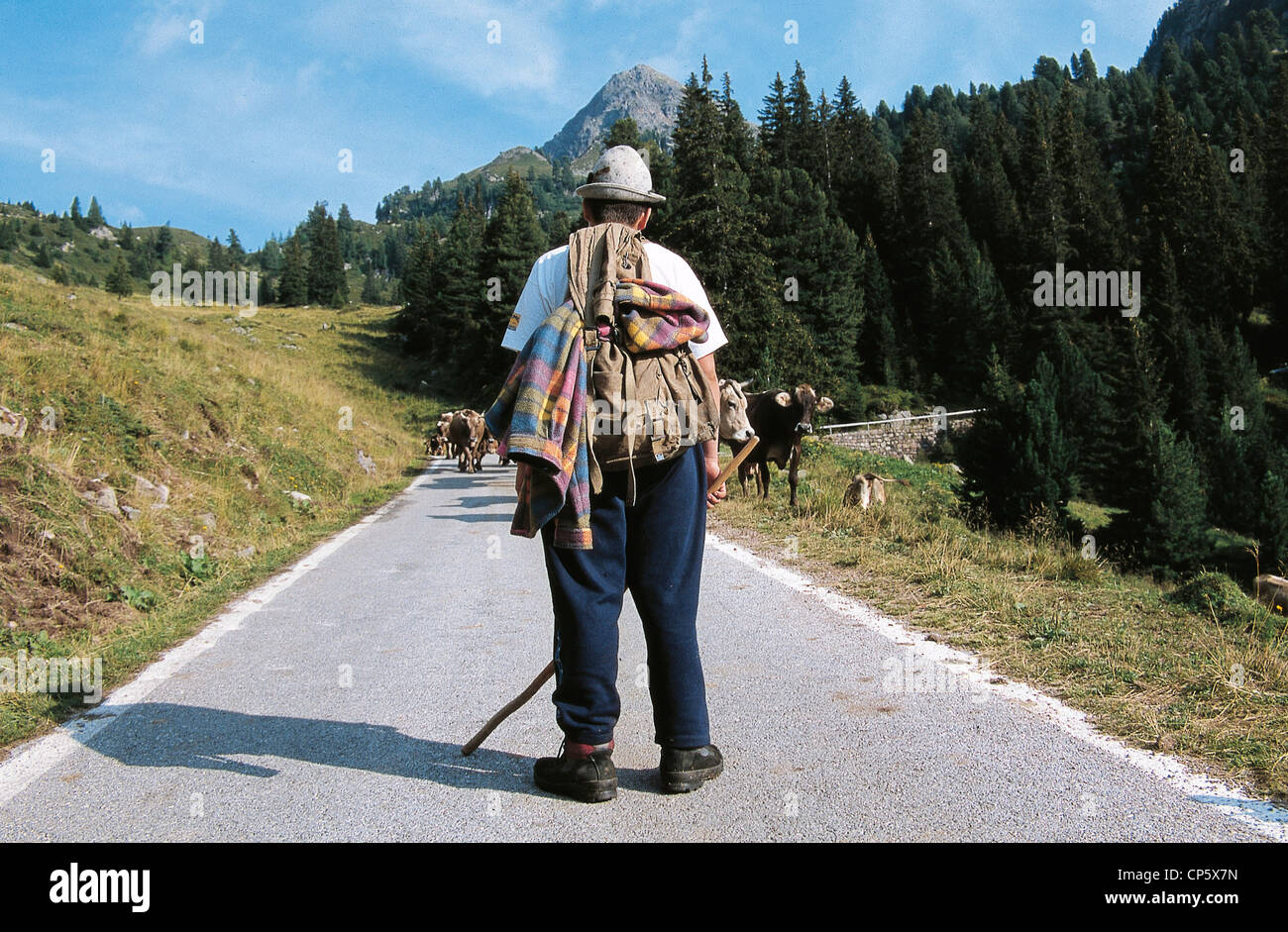 Trentino Alto Adige - Passo Manghen (Tn). Drover Foto Stock