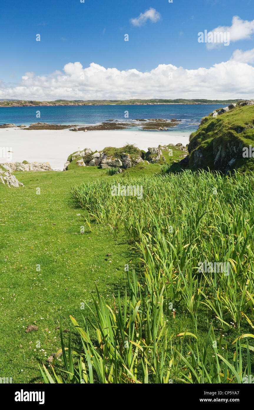 Traigh Mhor, sull'Isola di Iona, Argyll, Scozia. Foto Stock