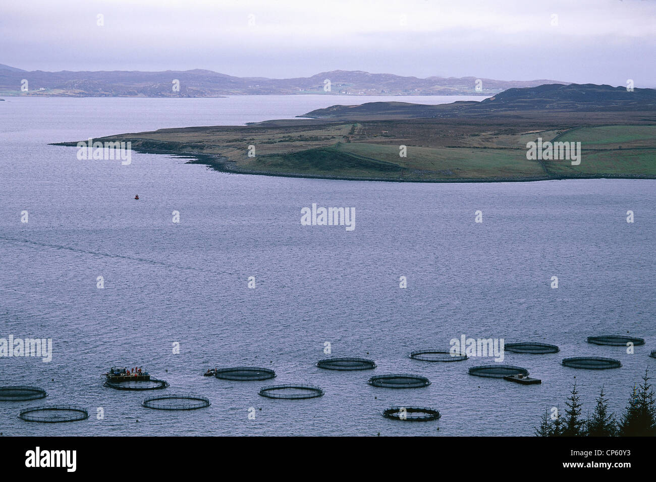 Regno Unito - Scozia - Intorno a Gairloch. Allevamenti di salmone. Foto Stock