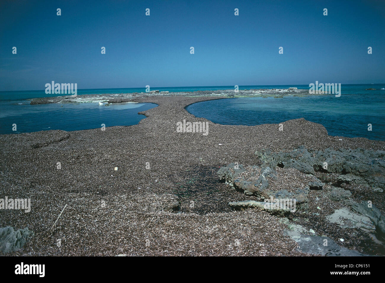 Puglia Riserva Naturale Marina Di Torre Guaceto Spiaggia