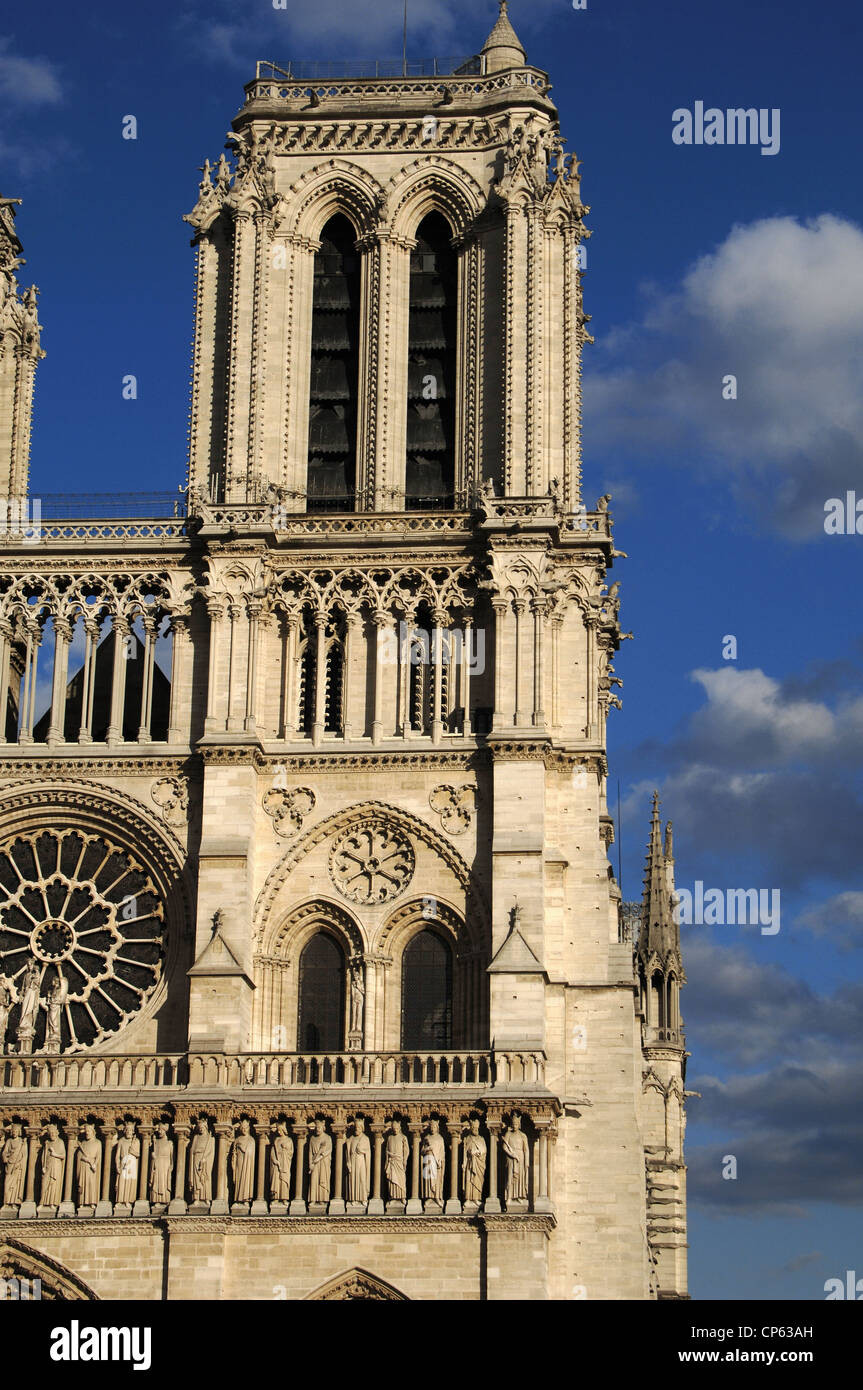 La Francia. Parigi. La cattedrale di Notre Dame. Xii - XIV secolo. Fronte ovest. Torre. Foto Stock
