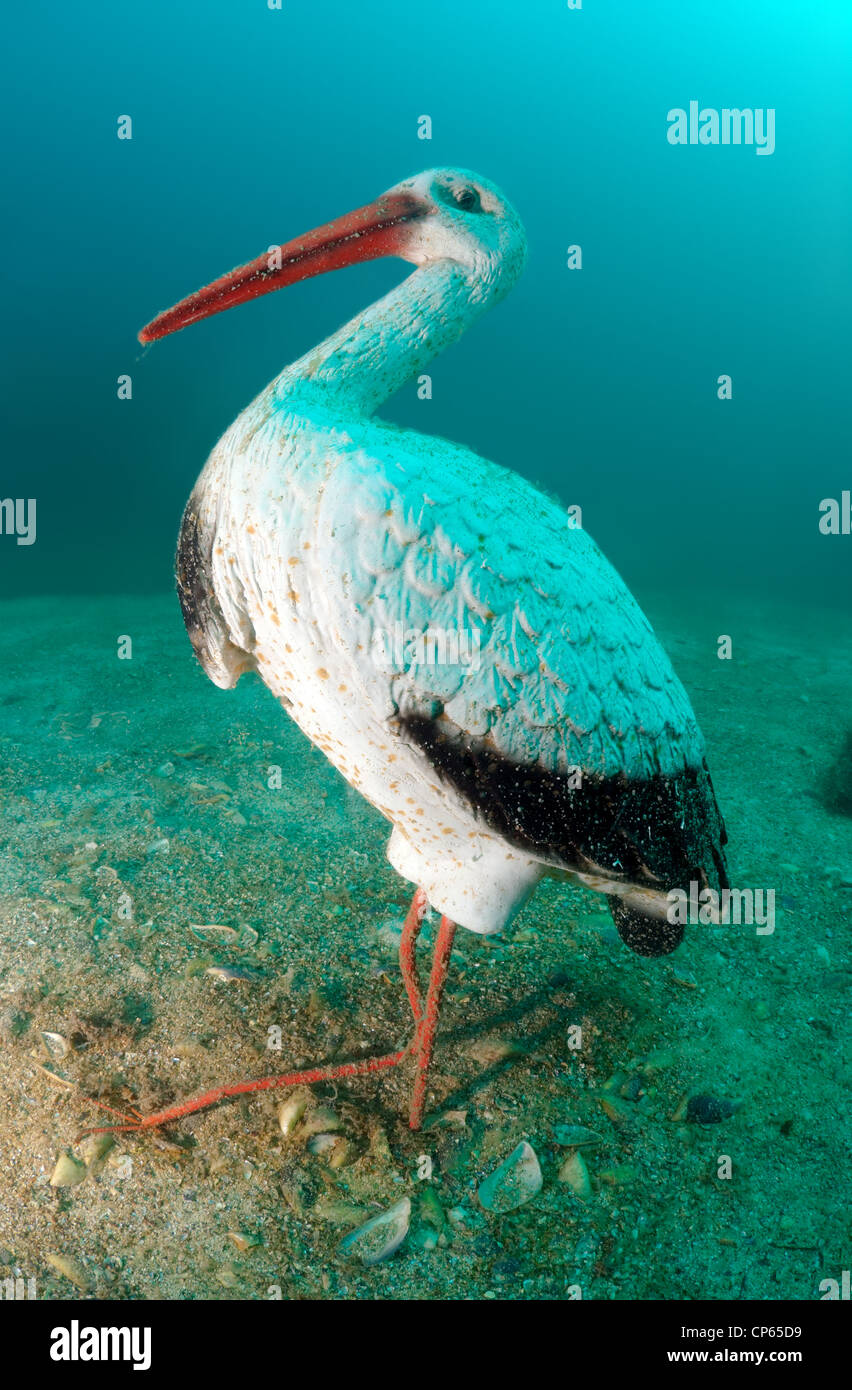 Stork scultura per primo nel mondo museo subacqueo leader dell' Alley o Atlantis sovietica Foto Stock