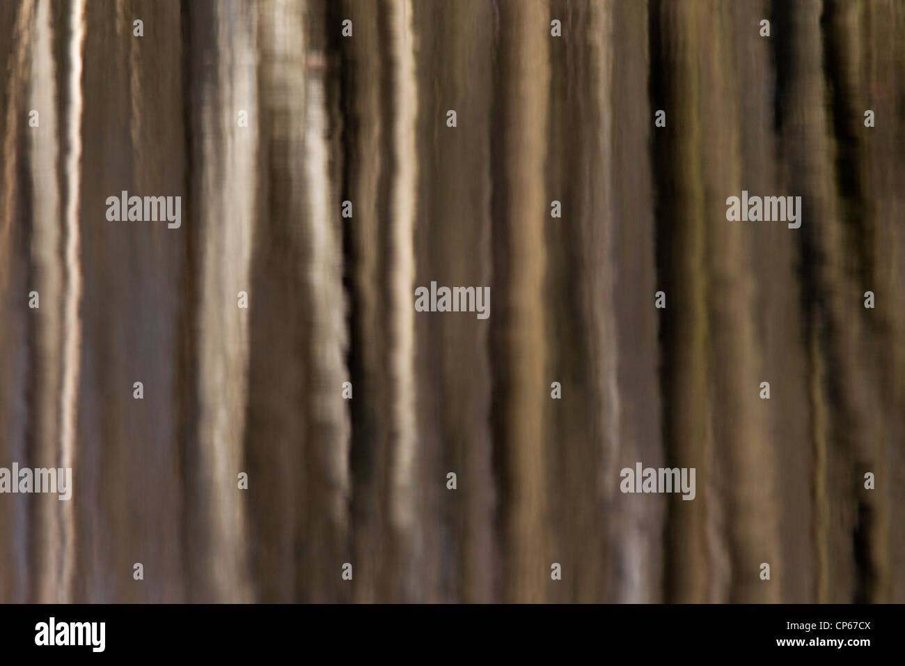 Immagine astratta di tronchi di alberi in foresta riflettendo in acqua di lago Foto Stock