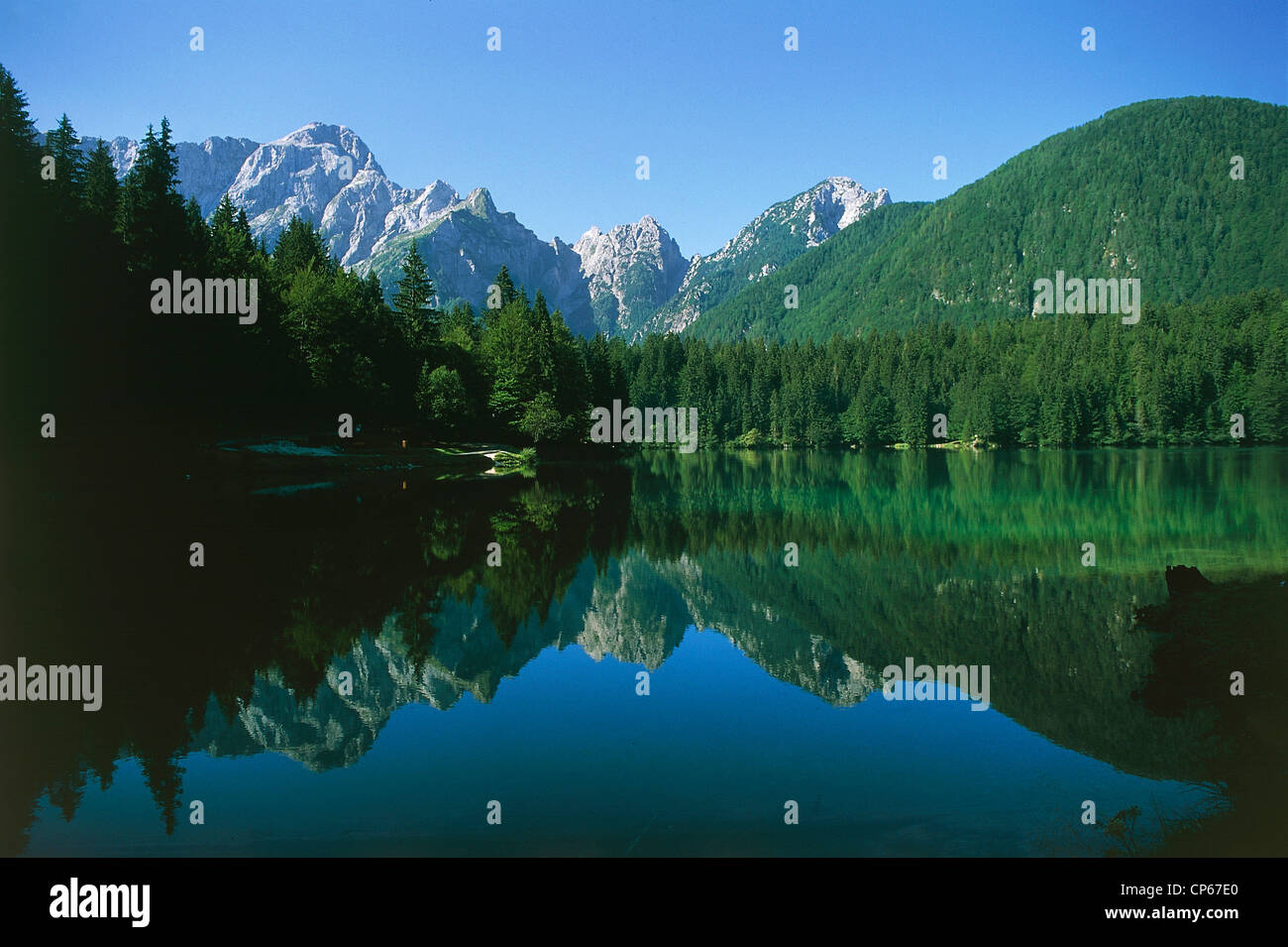 FRIULI Tarvisio lago foresta VALLE CANAL ABBASSARE IL MONTE MANGART sfondo a Fusine Foto Stock