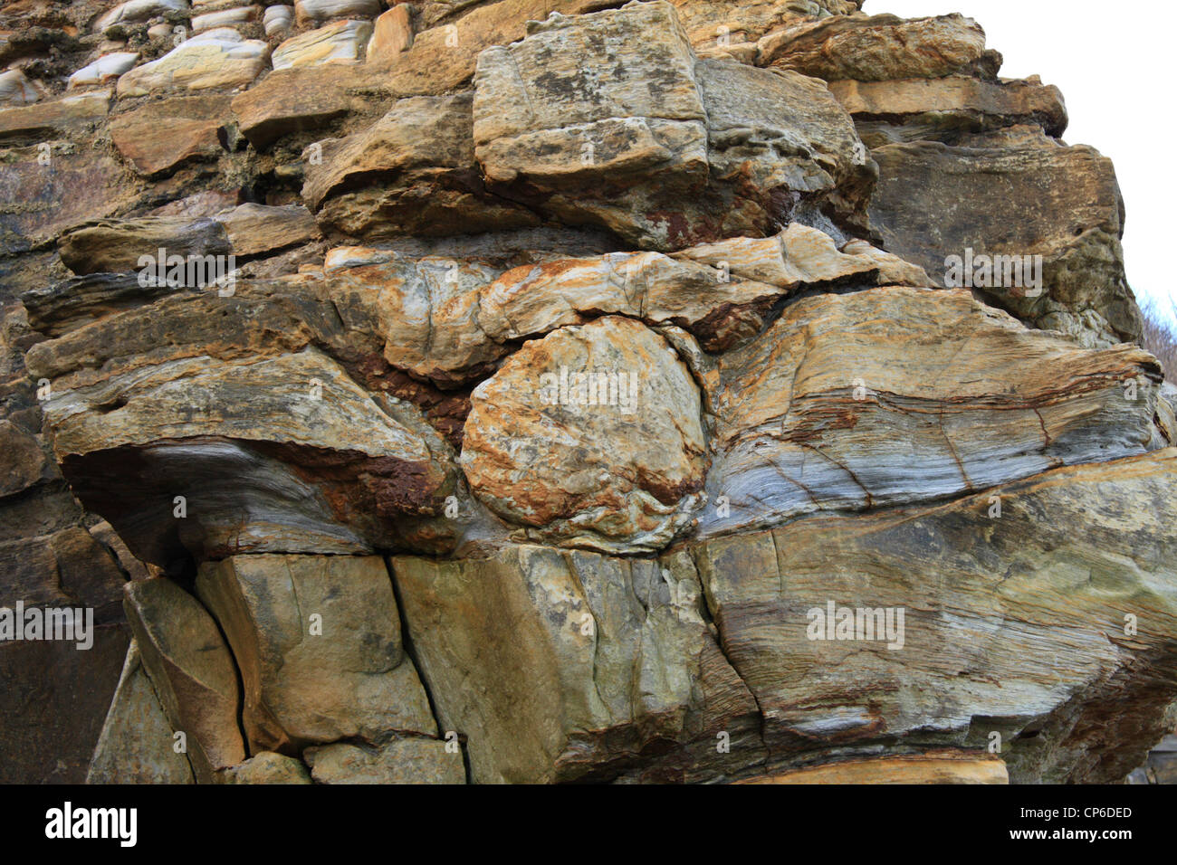 Formazione di roccia che mostra dinosaur footprint, South Bay, Scarborough, North Yorkshire, Regno Unito Foto Stock