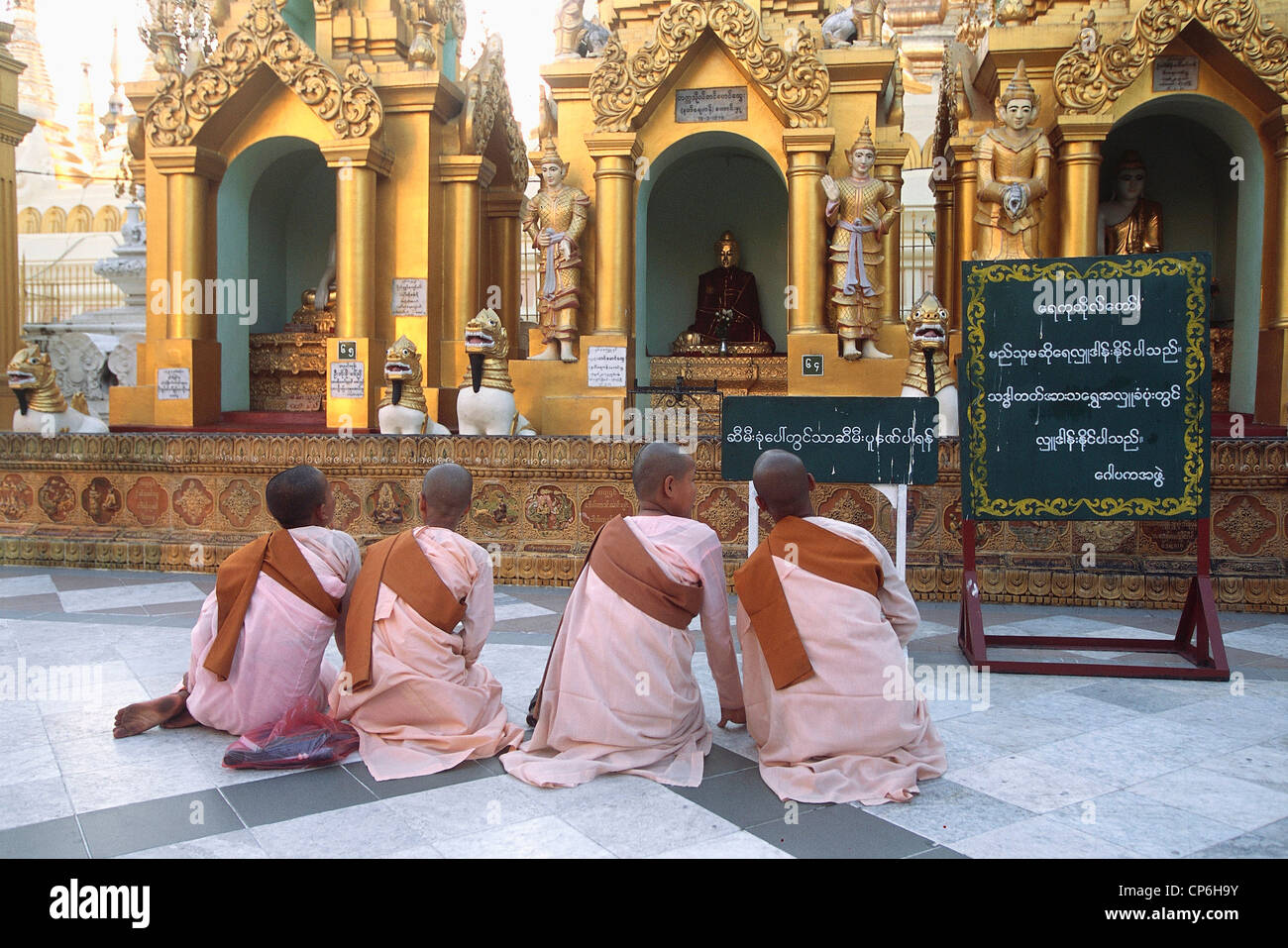 Myanmar (Birmania) - Yangon (Rangoon), Shwedagon pagoda. I monaci buddisti Foto Stock