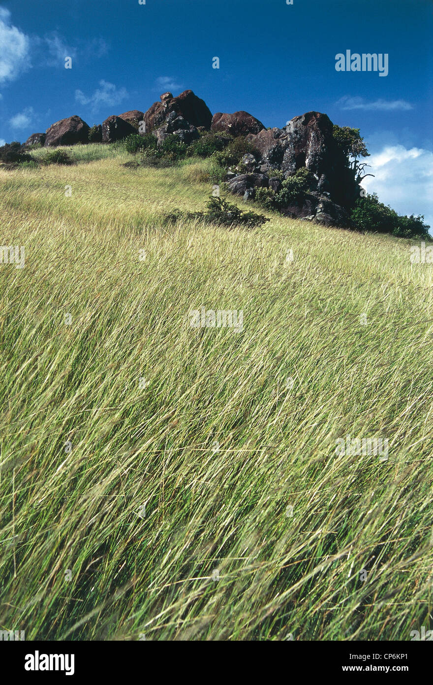 Guadalupa (dipartimento d'oltremare della Francia) - L'isola di Saint Martin - Orient Bay, Rocky Hill Foto Stock