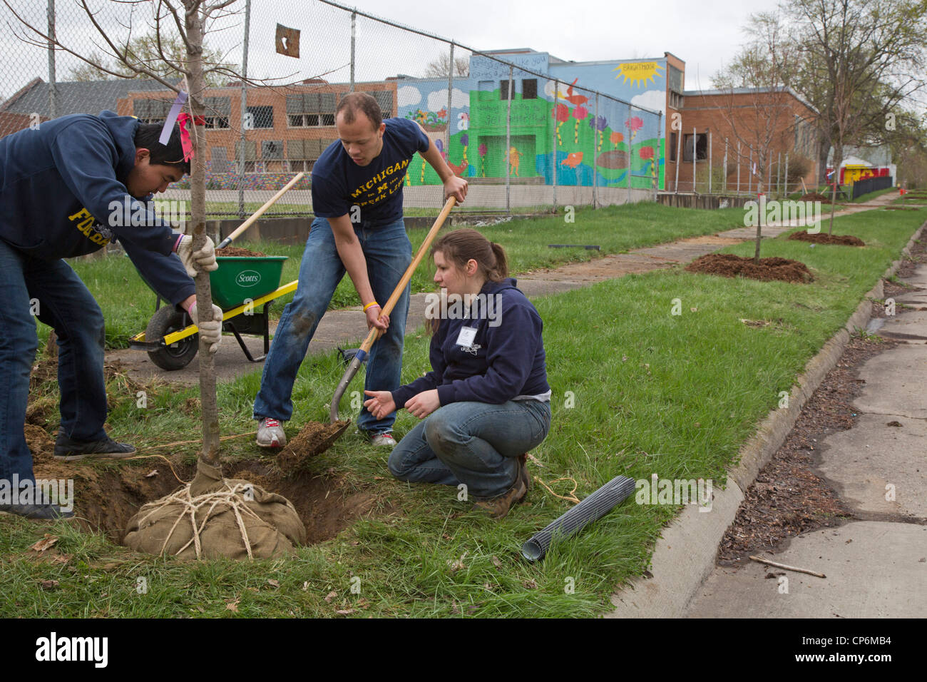 Detroit, Michigan - studenti volontari presso la University of Michigan piantare alberi in Detroit Brightmoor del vicinato. Foto Stock