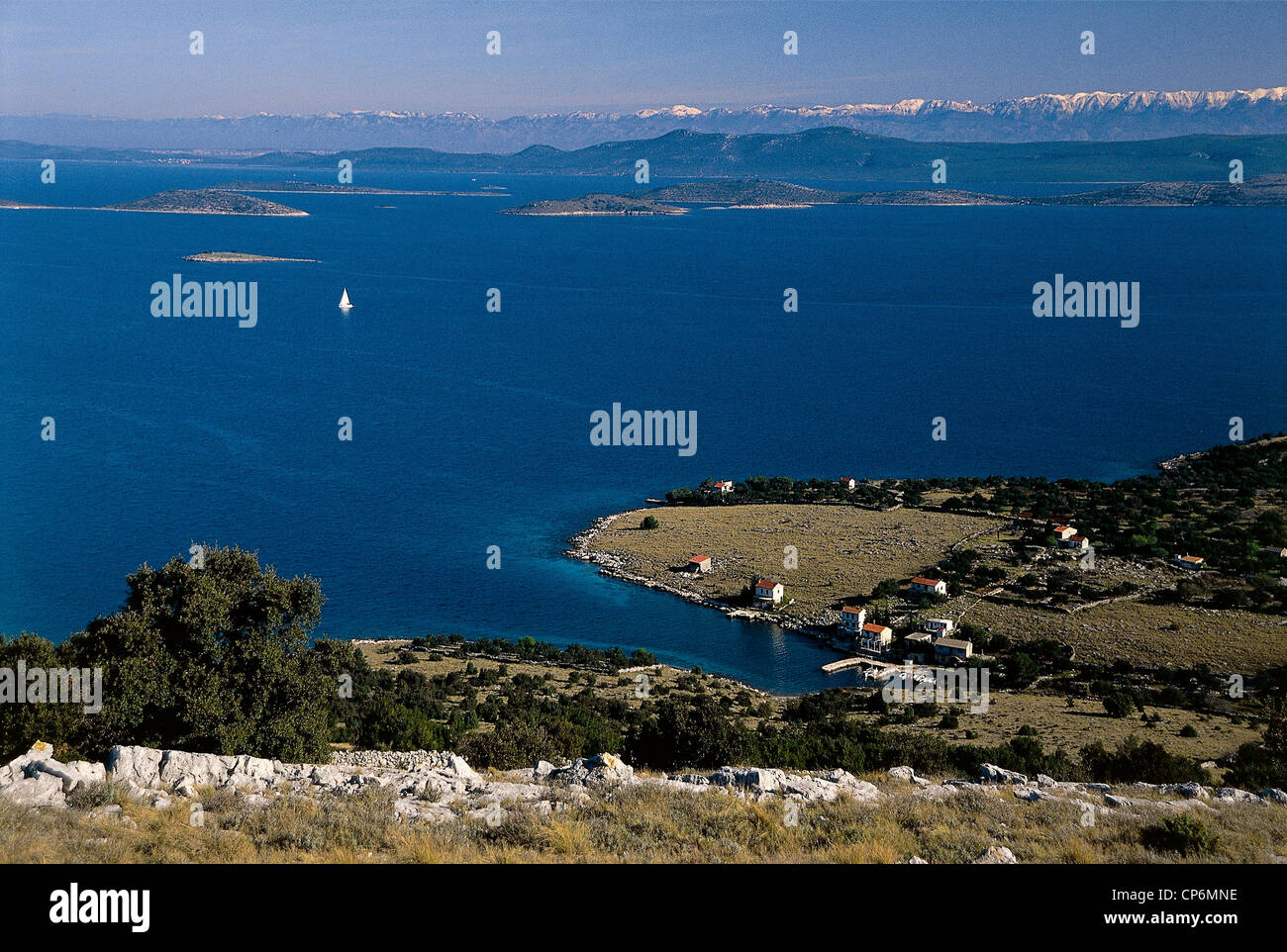Croazia - Dalmazia - isola di Zut - Bizikovicanel mare Adriatico con alcune isole e le montagne di Velebit in background Foto Stock