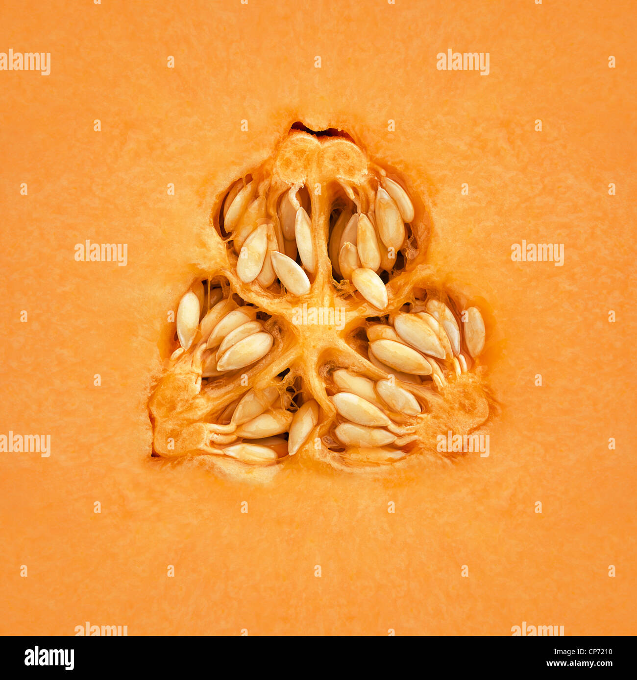 Close-up di un melone Cantalupo all'interno Foto Stock